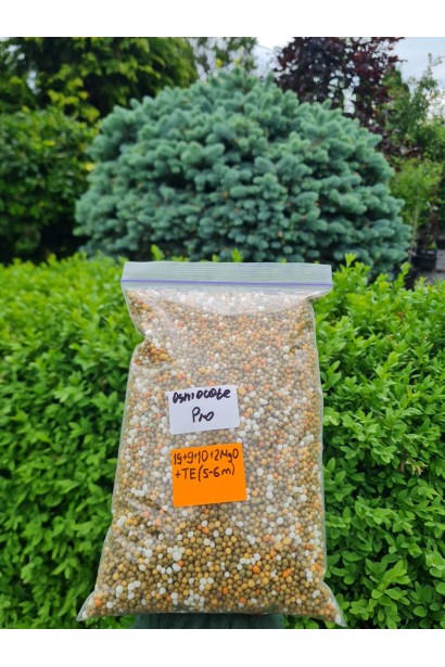 Osmocote Pro 19+9+10+2MgO+TE — це високоякісне гранульоване добриво